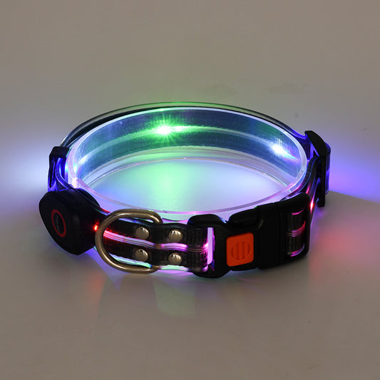 Glow Bright Pet Collar