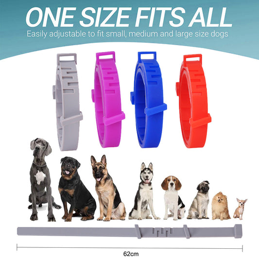 Silicone Pet Protection Collar