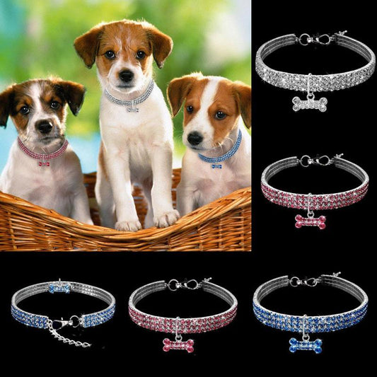 Sparkle Pet Collar & Leash