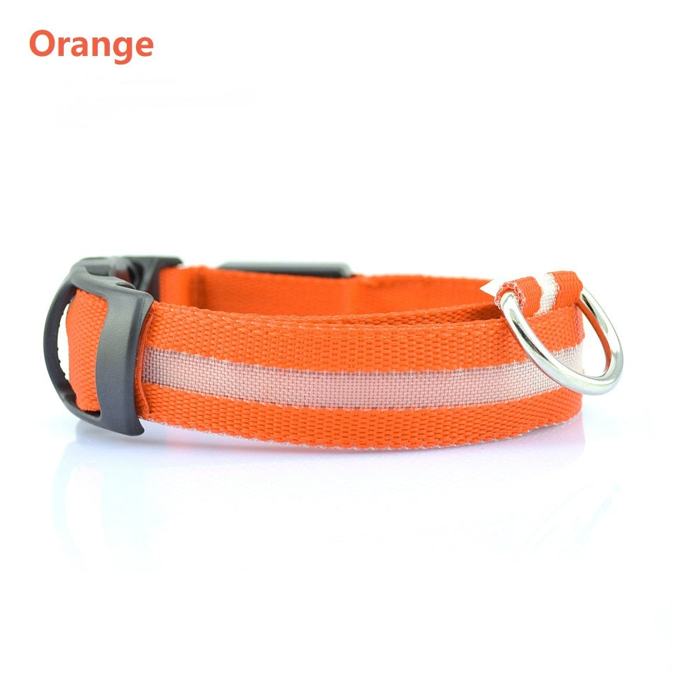 Stylish LED safety Dog Collar (Single)