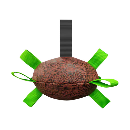 Interactive Dog Play Ball