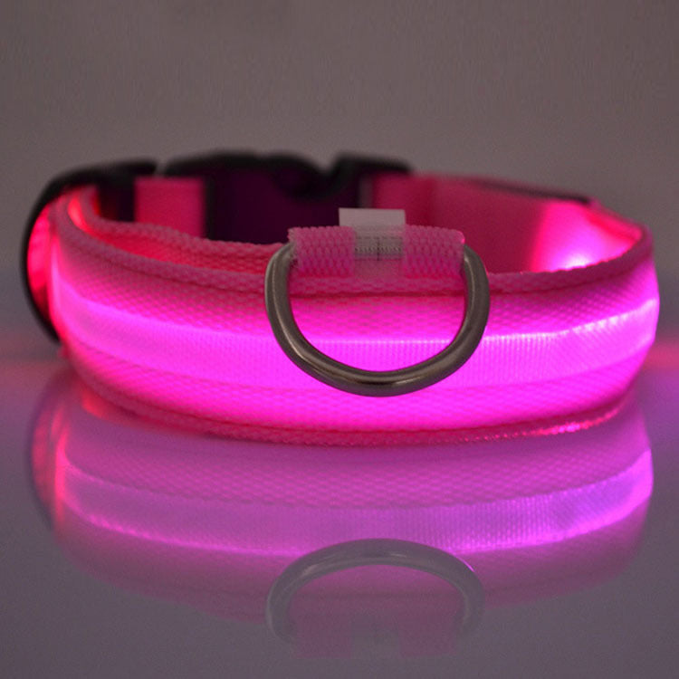 Stylish LED safety Dog Collar (Single)