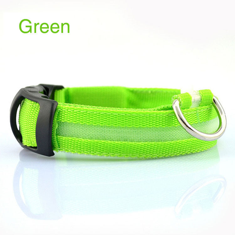 Stylish LED safety Dog Collar (Single)