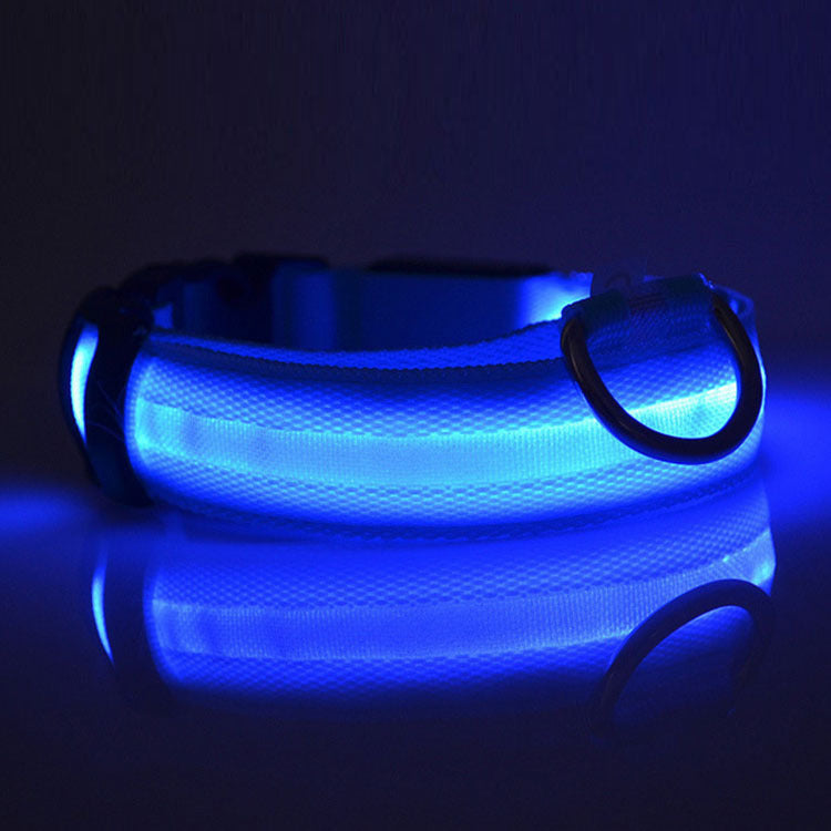 Stylish LED safety Dog Collar (Single)