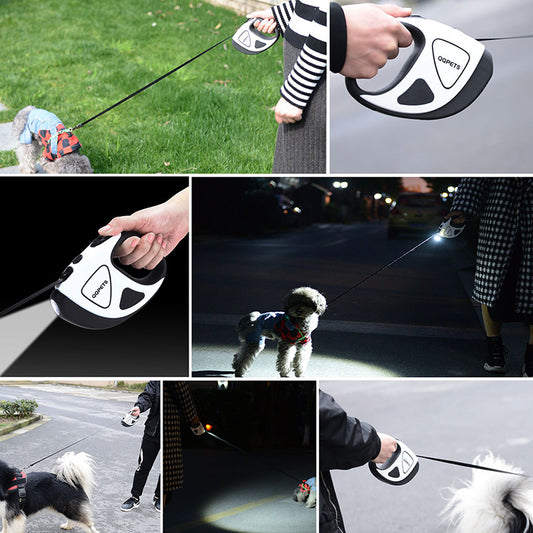 GlowSafe Dog Leash