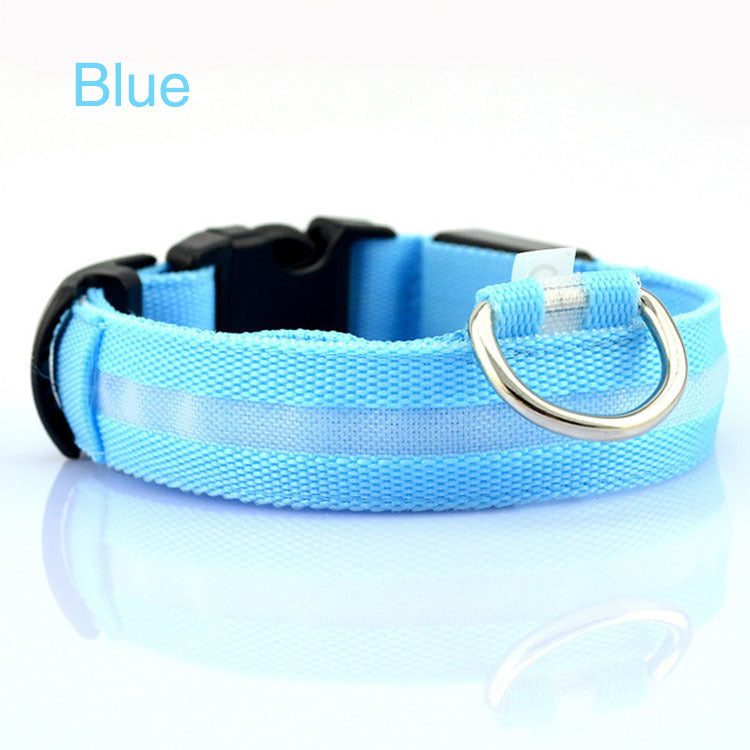 Stylish LED safety Dog Collar (Single)