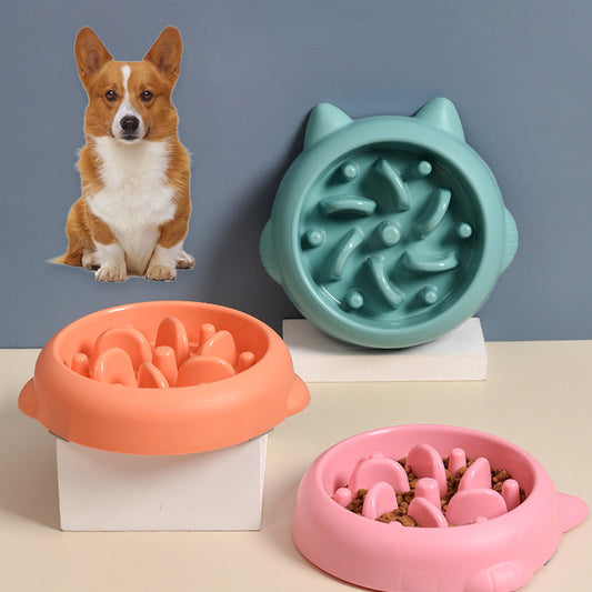 Pawsome Slow Feed Bowl
