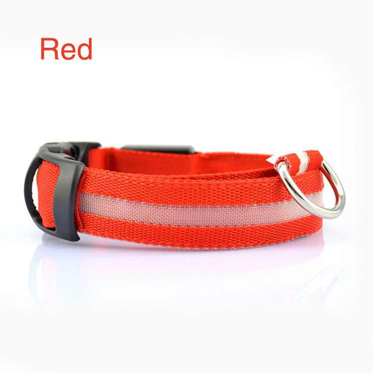 Stylish LED safety Dog Collar (Single)