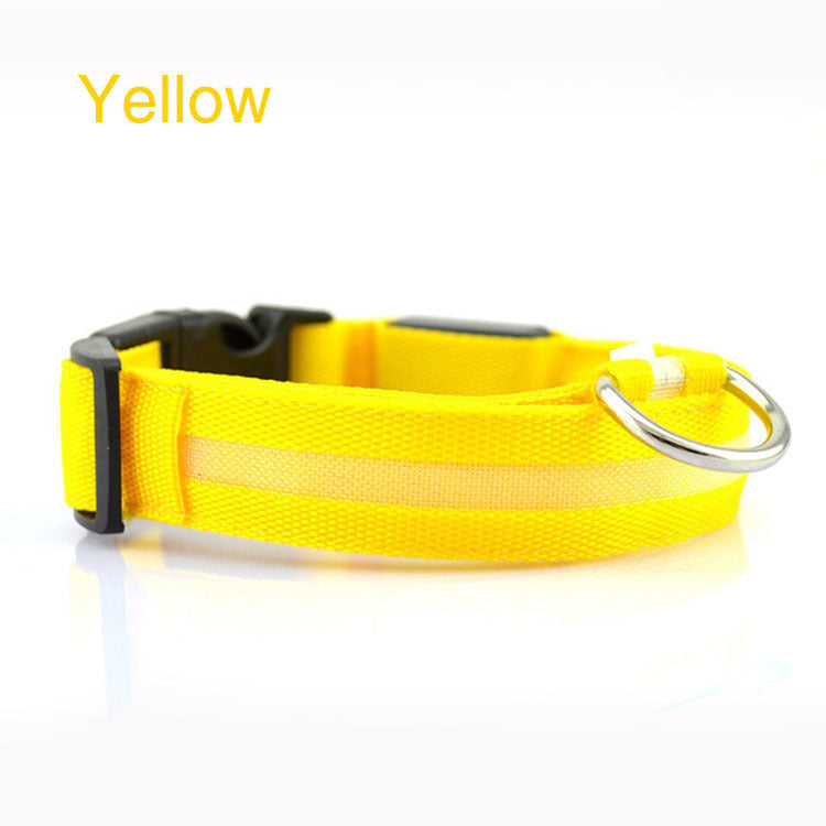 Stylish LED safety Dog Collar (Single)