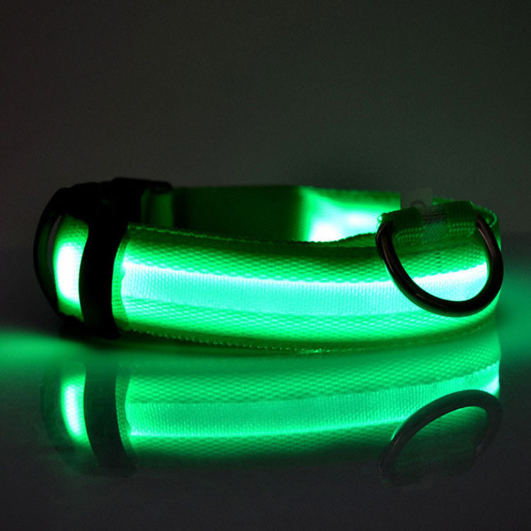 Stylish LED safety Dog Collar (Single)