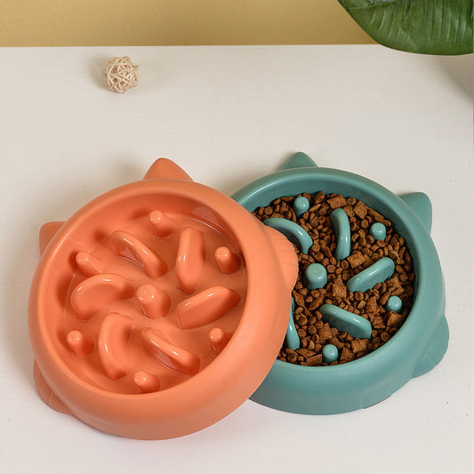 Pawsome Slow Feed Bowl