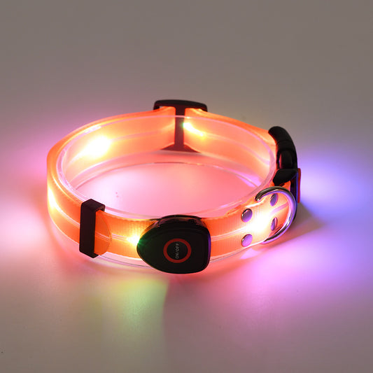 Glow Bright Pet Collar