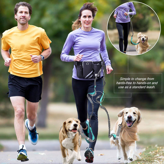 Pet Adventure Gear Set Bag with leash