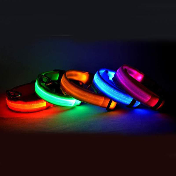 GlowSafe Pet Collar