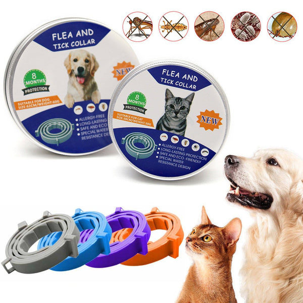 Silicone Pet Protection Collar